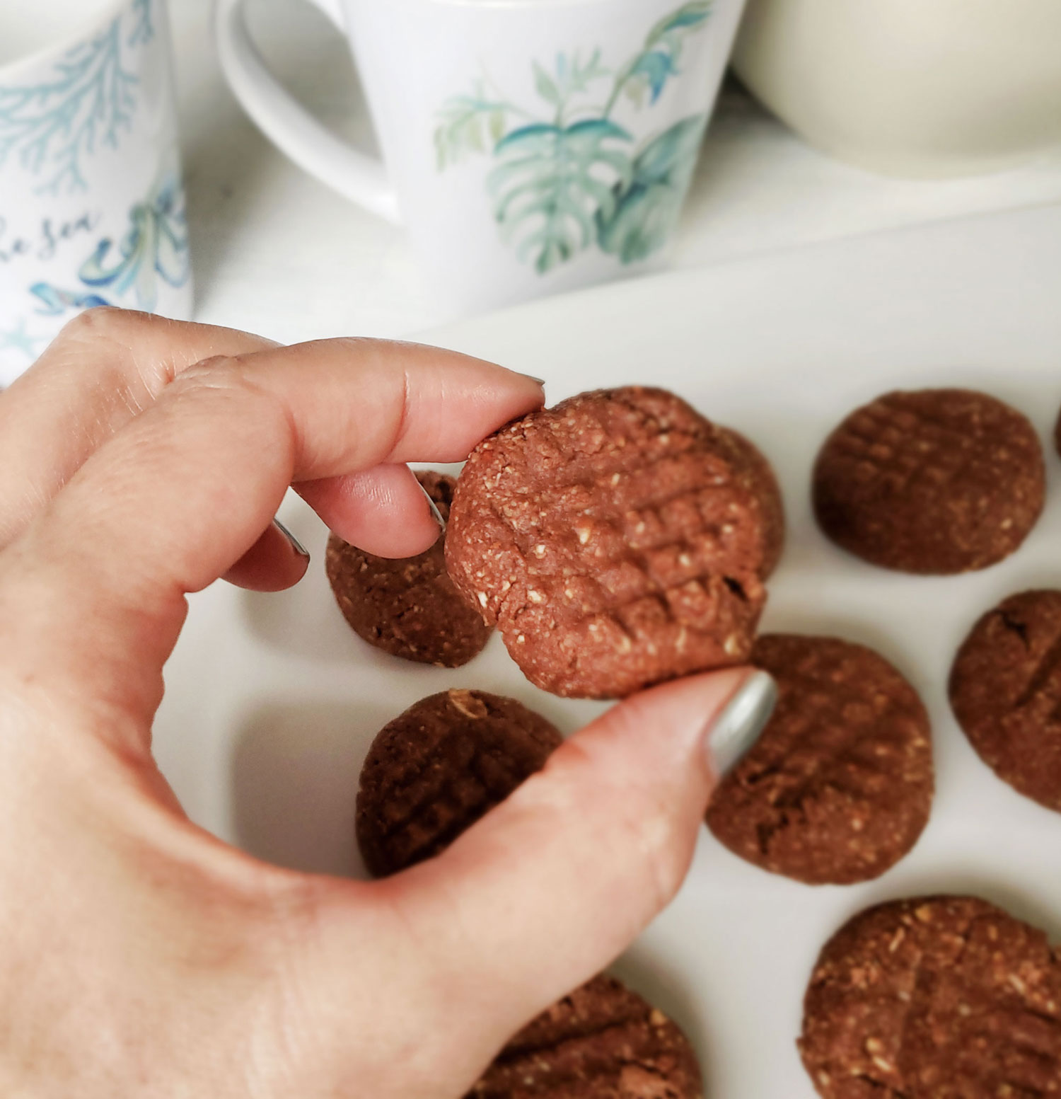 chocolate cookies no bake vegan and gluten free from Victoria's Recipe Box